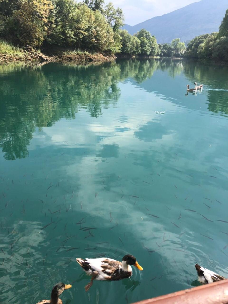 Splav "Slap" - Bungalovi Danilovgrad Bagian luar foto